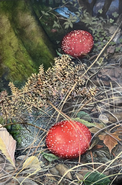 Trozos de naturaleza